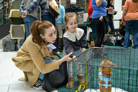 Pet Adoption Day2024_0059