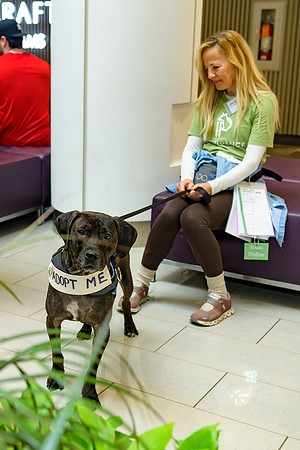 Pet Adoption Day2024_0062
