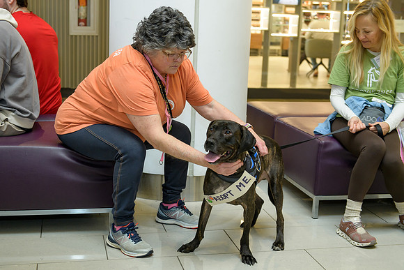 Pet Adoption Day2024_0063