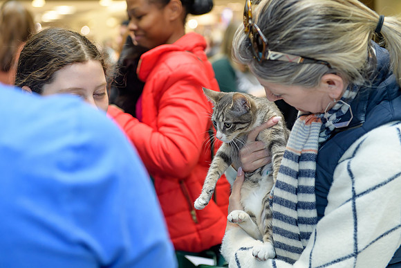 Pet Adoption Day2024_0065