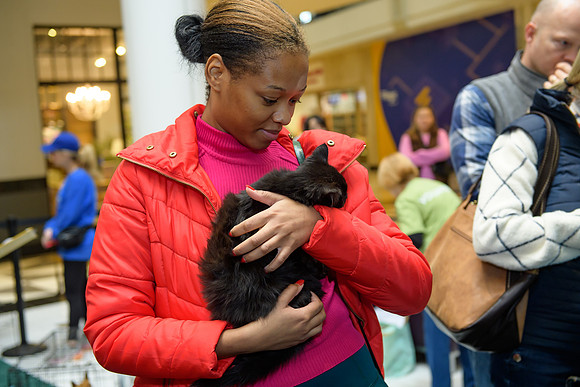 Pet Adoption Day2024_0066