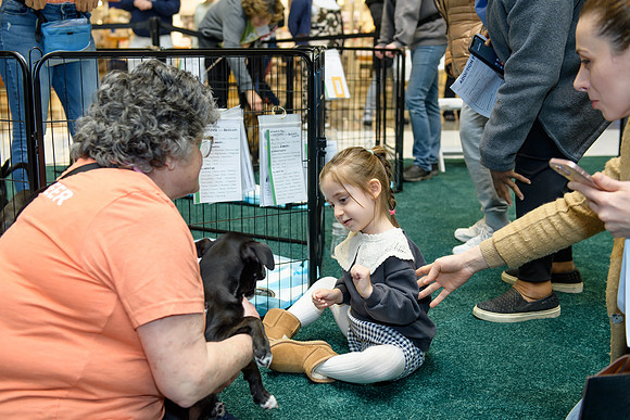 Pet Adoption Day2024_0067