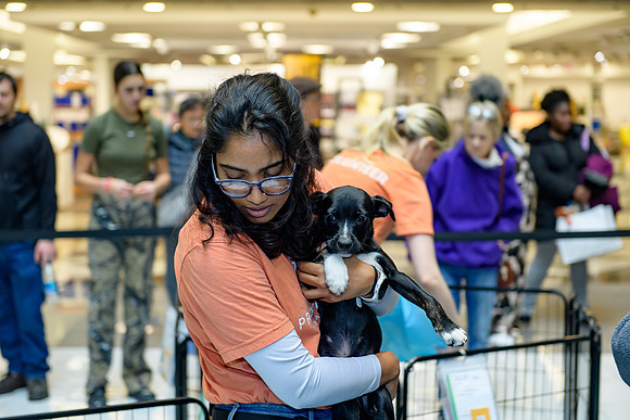 Pet Adoption Day2024_0069