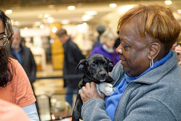 Pet Adoption Day2024_0070