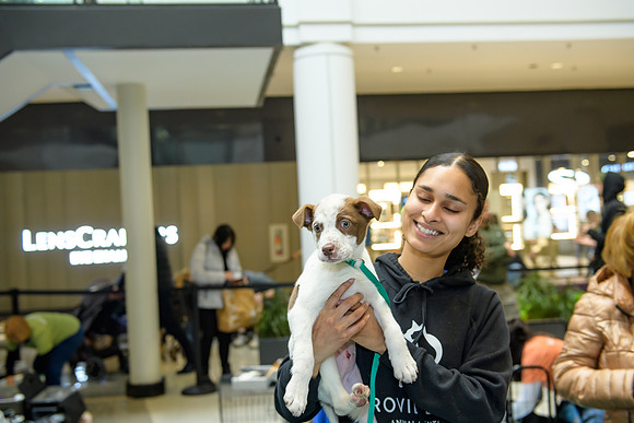 Pet Adoption Day2024_0073
