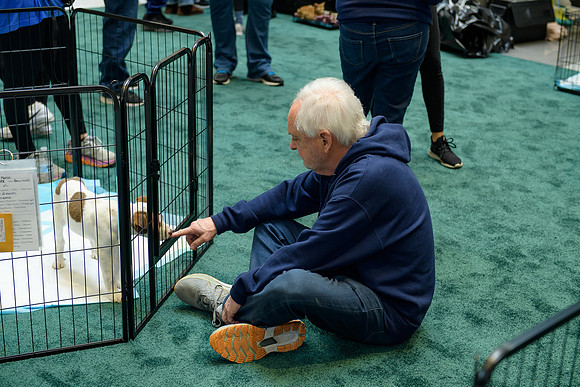 Pet Adoption Day2024_0075