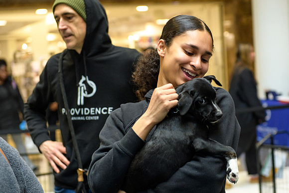 Pet Adoption Day2024_0078
