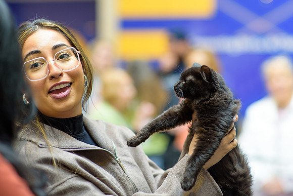 Pet Adoption Day2024_0088