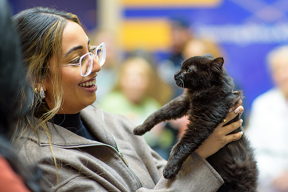 Pet Adoption Day2024_0089