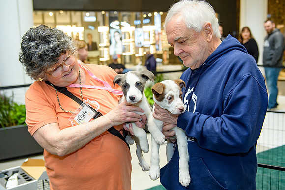 Pet Adoption Day2024_0093