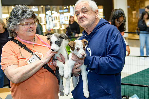 Pet Adoption Day2024_0094