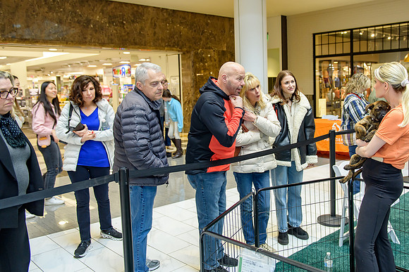 Pet Adoption Day2024_0095
