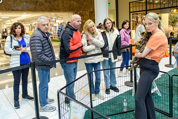 Pet Adoption Day2024_0096