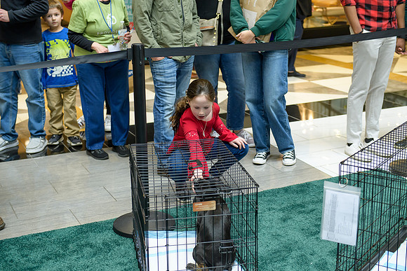 Pet Adoption Day2024_0100