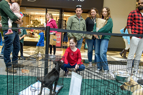 Pet Adoption Day2024_0101