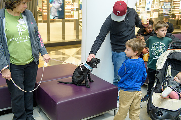 Pet Adoption Day2024_0108