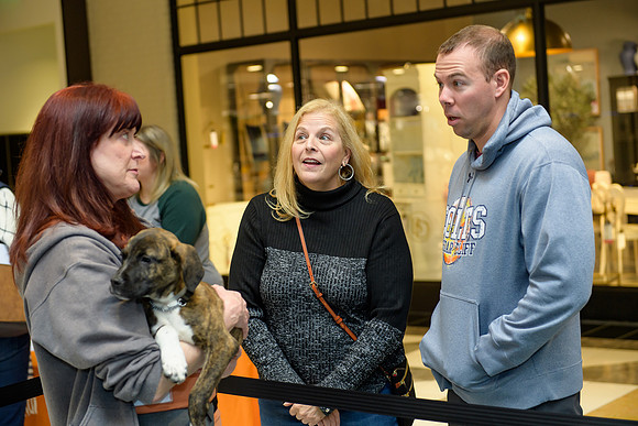 Pet Adoption Day2024_0117