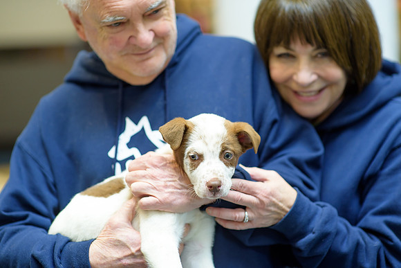 Pet Adoption Day2024_0119