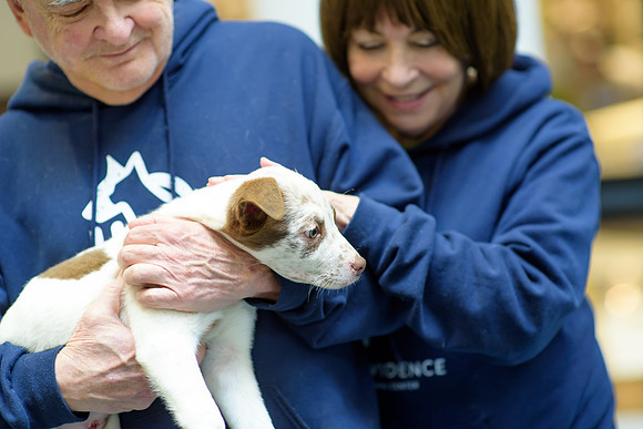 Pet Adoption Day2024_0120