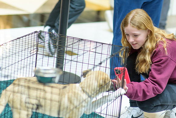 Pet Adoption Day2024_0121