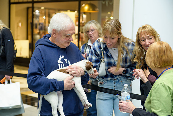 Pet Adoption Day2024_0124
