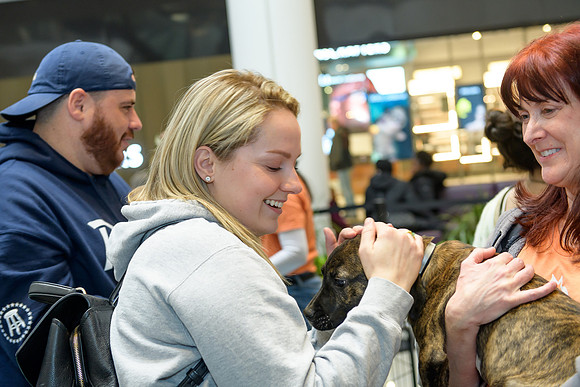Pet Adoption Day2024_0127