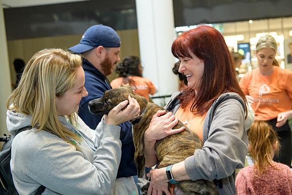 Pet Adoption Day2024_0128