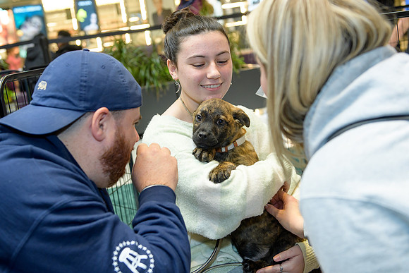Pet Adoption Day2024_0132
