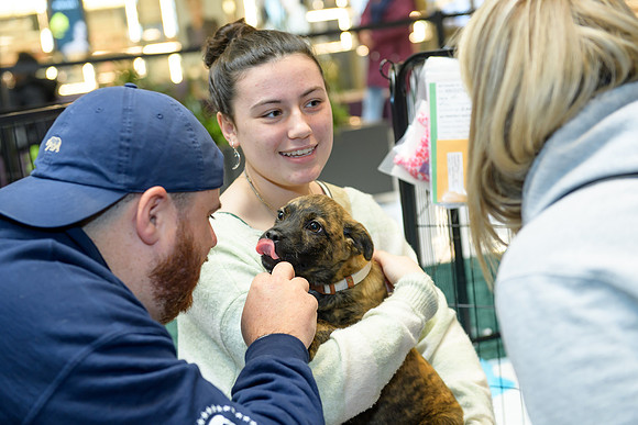 Pet Adoption Day2024_0131