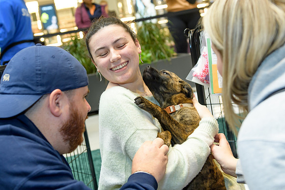 Pet Adoption Day2024_0133