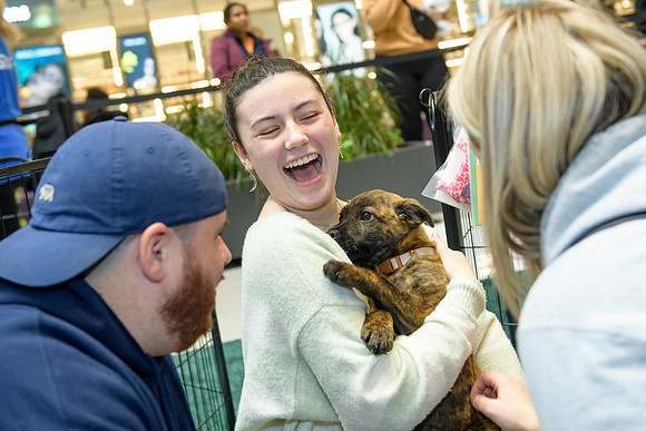Pet Adoption Day2024_0134