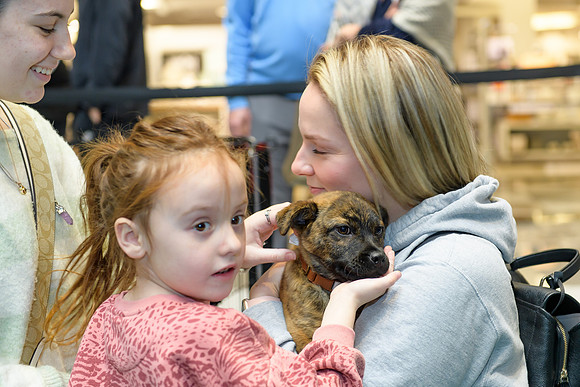 Pet Adoption Day2024_0138