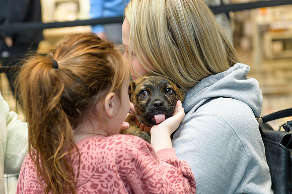 Pet Adoption Day2024_0139