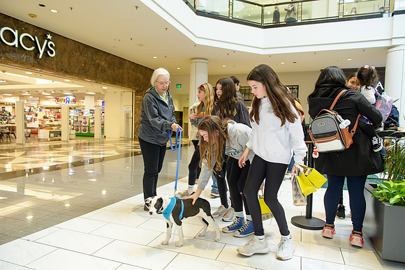 Pet Adoption Day2024_0143