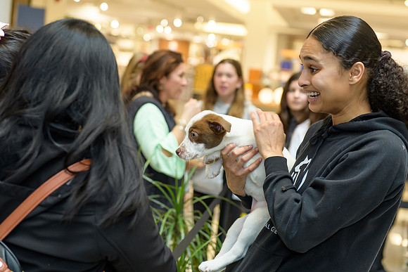 Pet Adoption Day2024_0148