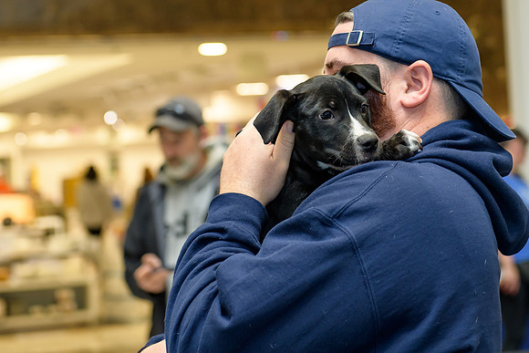Pet Adoption Day2024_0152