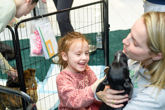 Pet Adoption Day2024_0151