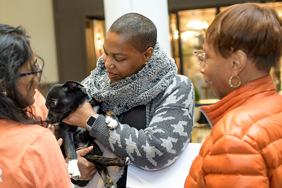 Pet Adoption Day2024_0160