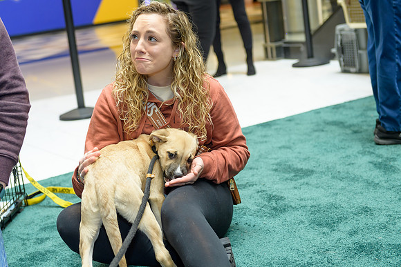 Pet Adoption Day2024_0161