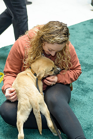Pet Adoption Day2024_0162