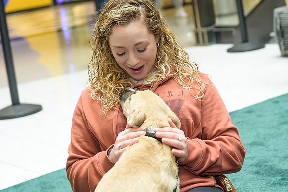 Pet Adoption Day2024_0163