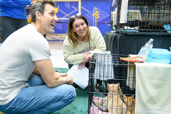 Pet Adoption Day2024_0164