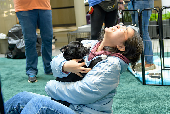 Pet Adoption Day2024_0166