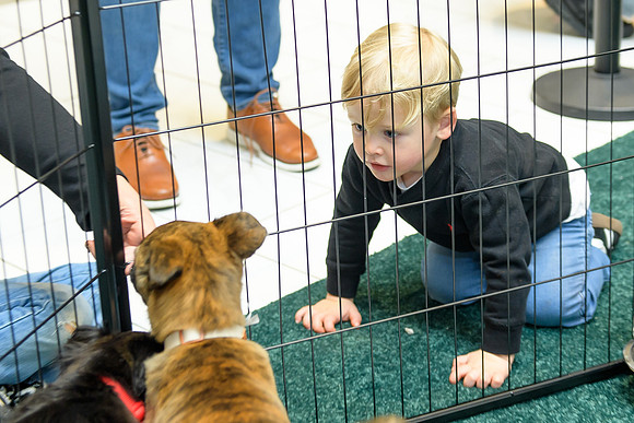 Pet Adoption Day2024_0171