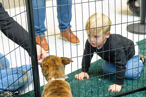 Pet Adoption Day2024_0170