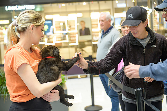 Pet Adoption Day2024_0173