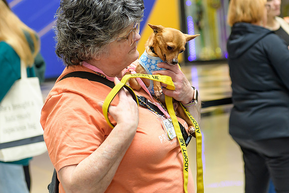 Pet Adoption Day2024_0175
