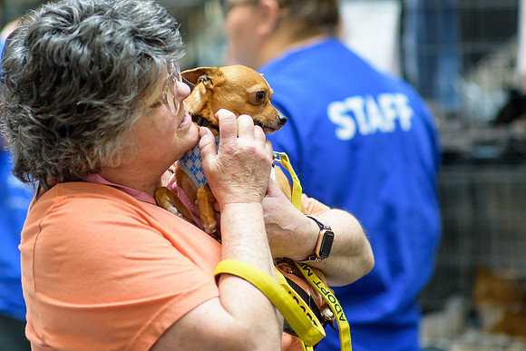 Pet Adoption Day2024_0176