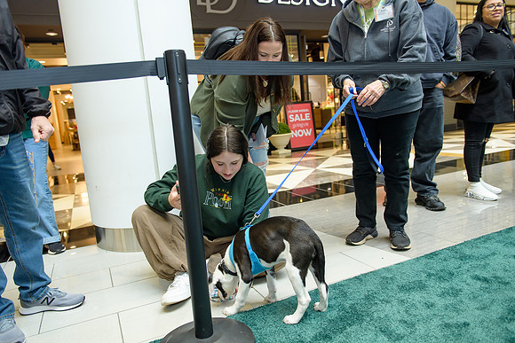 Pet Adoption Day2024_0177