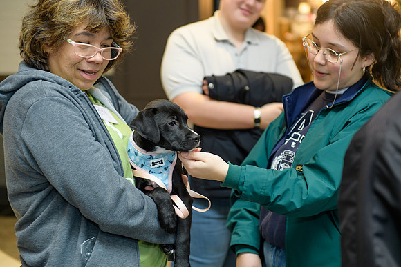 Pet Adoption Day2024_0178